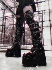 CAM308/B