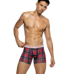 Naughty & Nice Boxer Briefs
